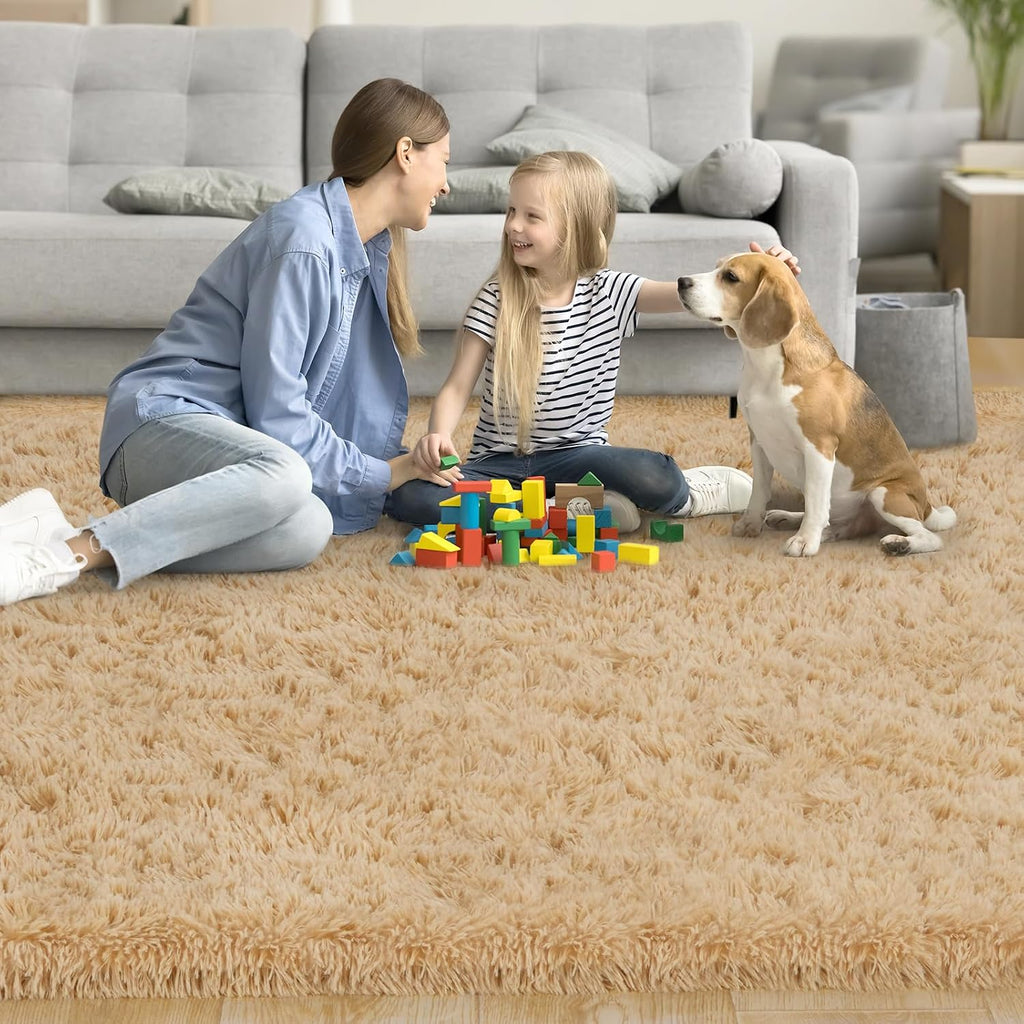 5x7 Fluffy Shaggy Area Rug