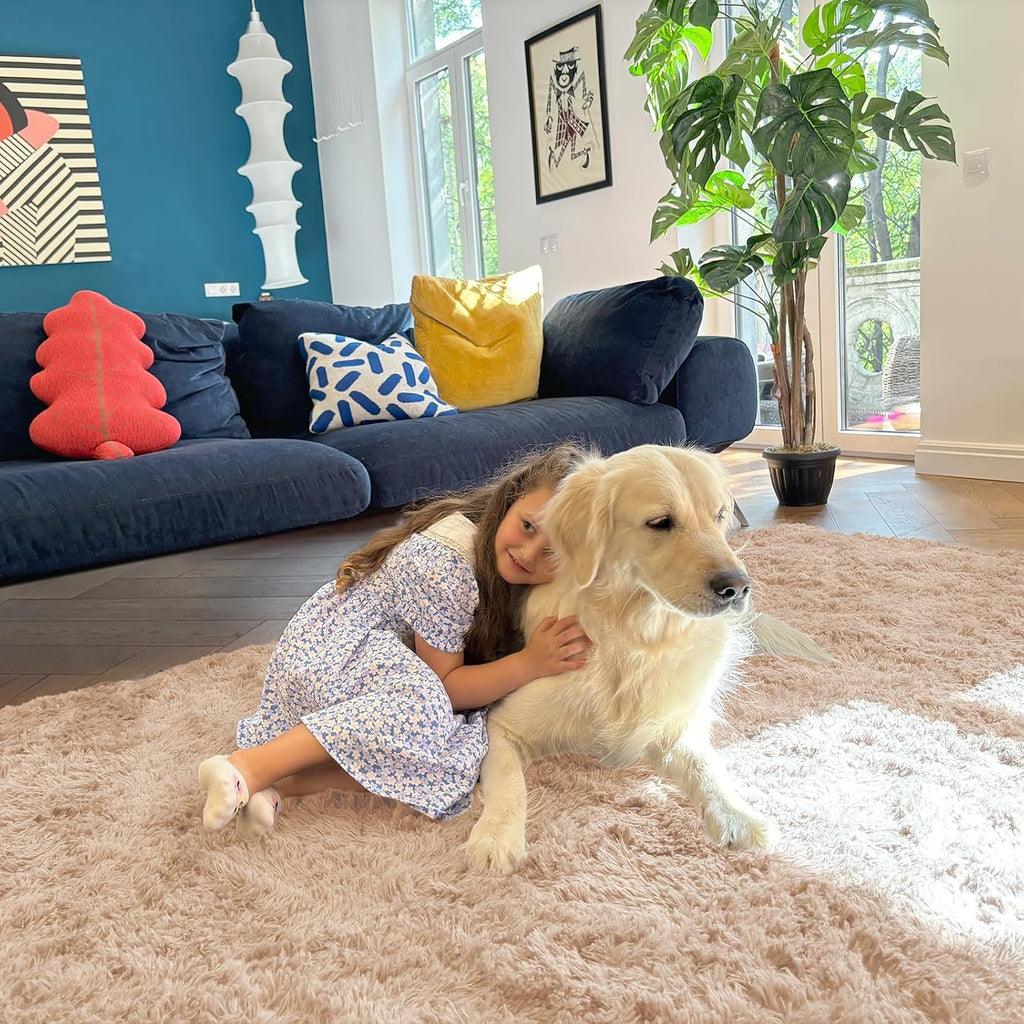 Washable Fluffy Area Rug