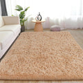5x7 Fluffy Shaggy Area Rug