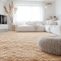 Washable Fluffy Area Rug